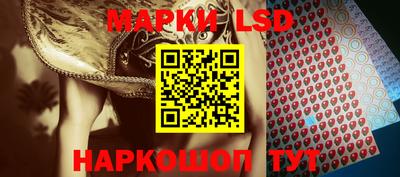 стафф Нальчик
