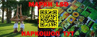 спиды Можга
