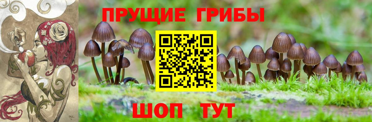 Галлюциногенные грибы MAGIC MUSHROOMS Армавир