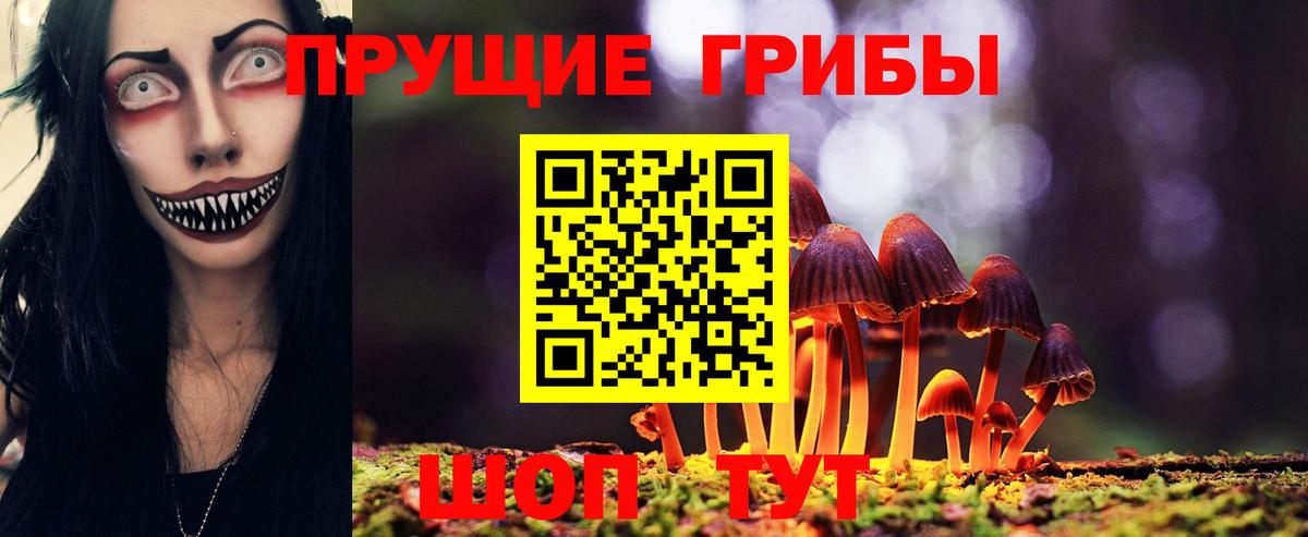 как найти наркотики  Галлюциногенные грибы прущие грибы  Вход с VPN  Армавир 